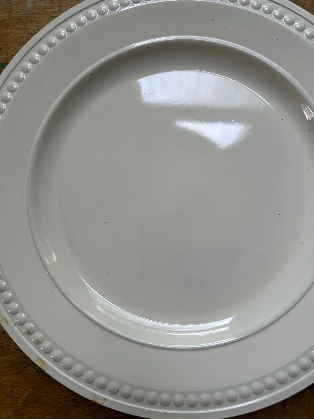 Pier 1 Cream Ceramic Dinner Plate with Beaded Rim